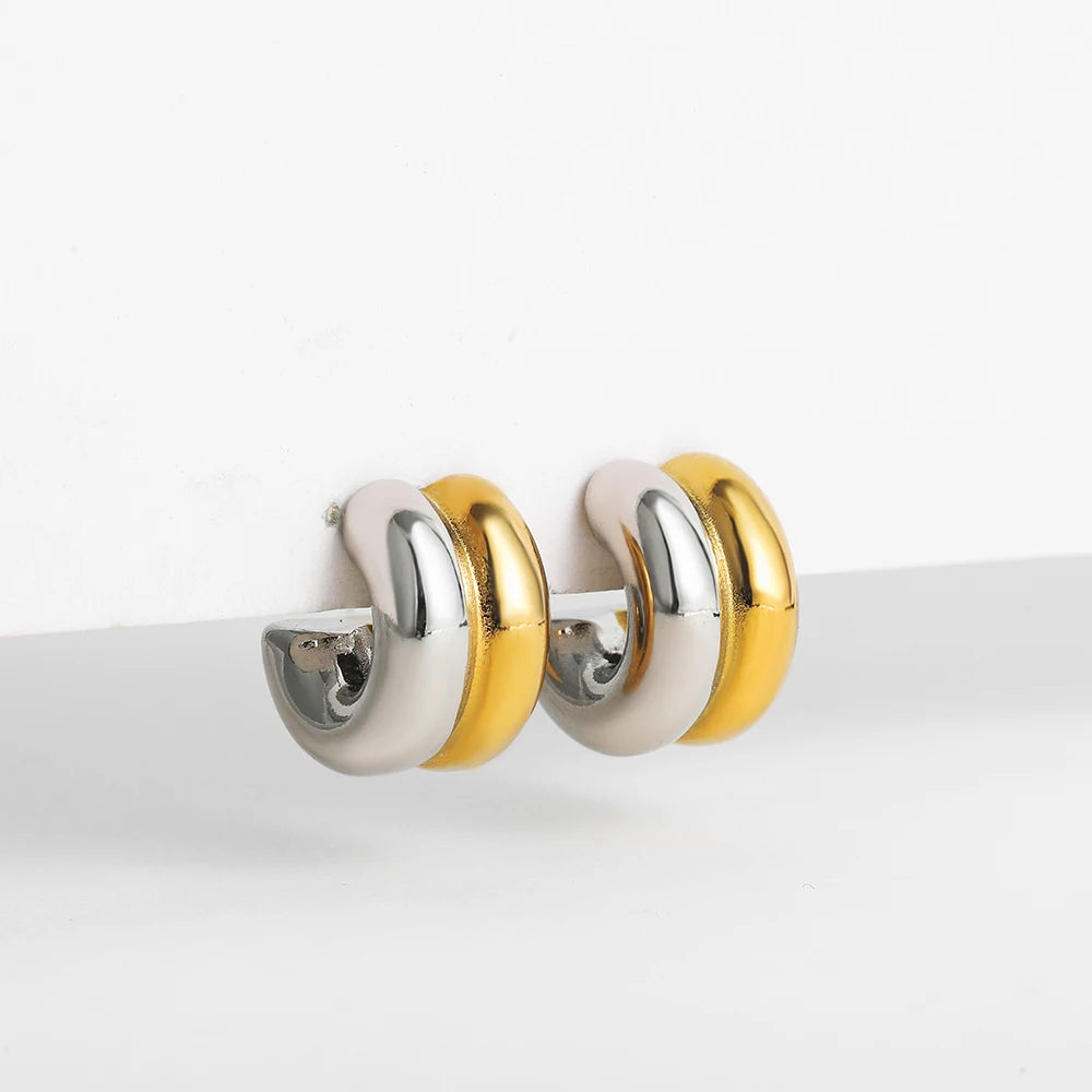 Chromatic Halo Earrings Gift